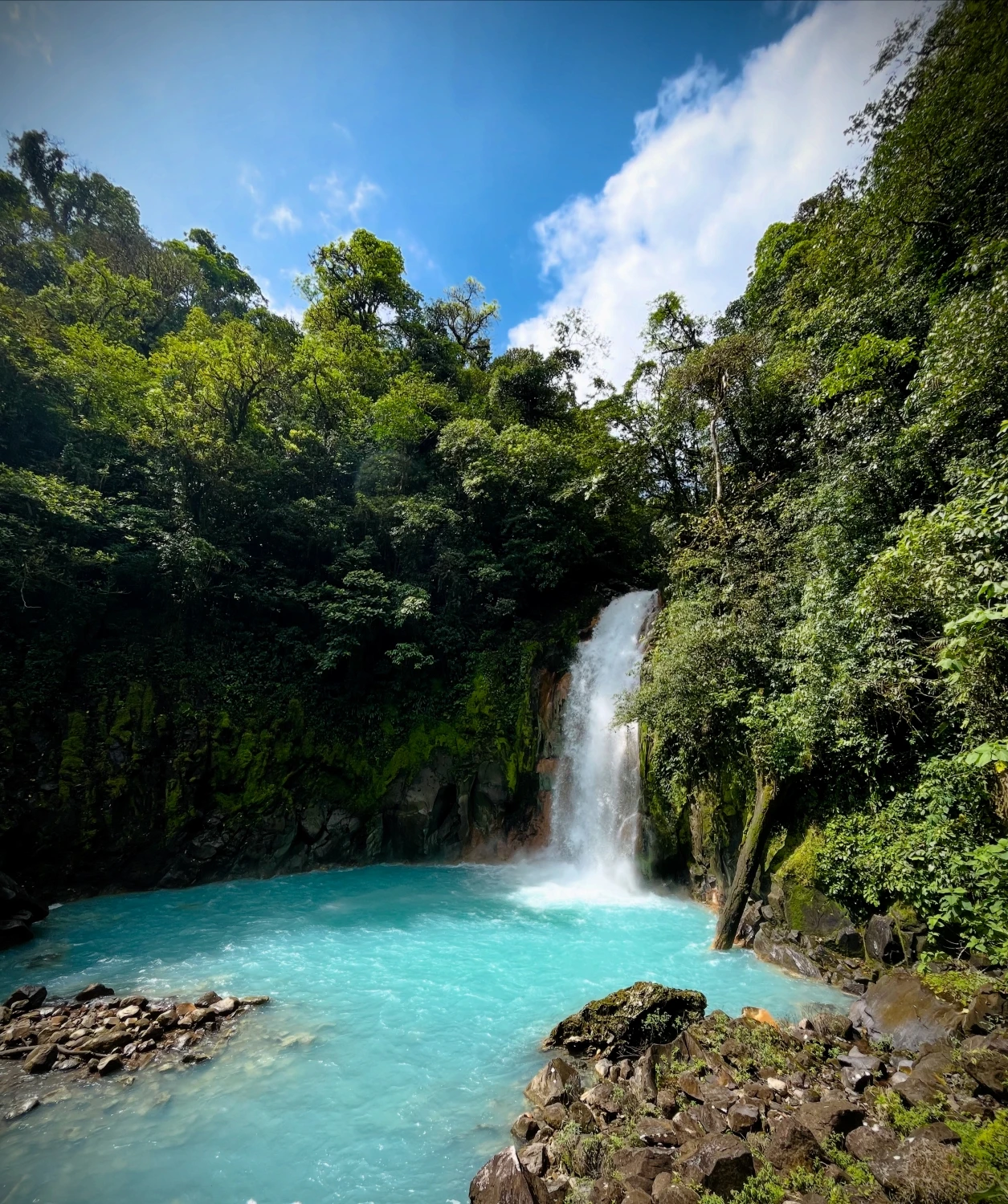 Stunning turquoise waterfall cascading through dense Costa Rica tropical rainforest jungle
